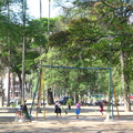 IMG 0217 Spelende moeders met kinderen in het park