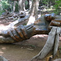 IMG 1096 Bosque Tallado een bos met beeldhouwwerken