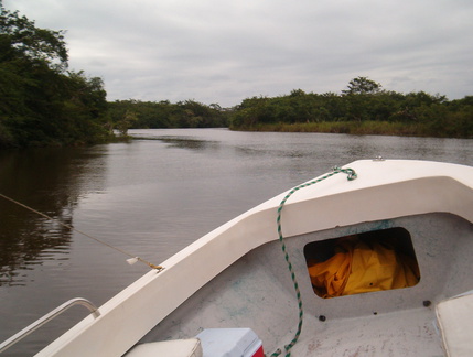 IM004140 Per boot over de New River naar Lamanai