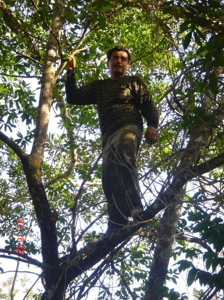 IM004463a_Max_in_the_tree_zoomed_in.jpg