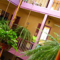 IMG 0366 Koala Hostel in Pasto