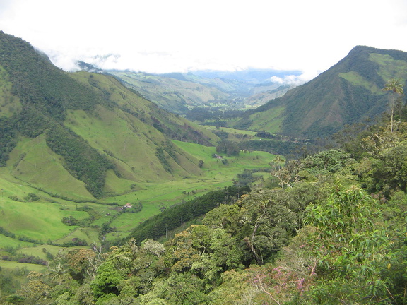 IMG 9833 Uitzicht over Valle de Cocora
