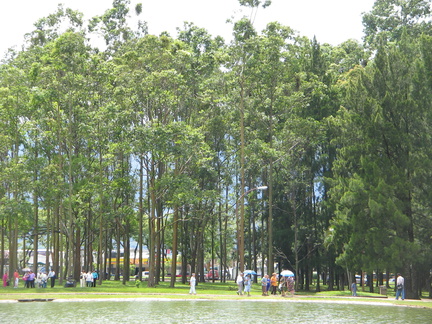 IMG 5708 Parque La Sabana