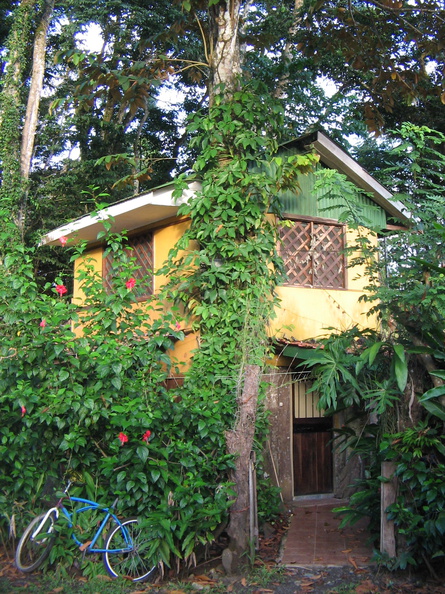 IMG 5902 Huisje in de jungle