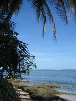 IMG 5940 Bountyparadijs van Cahuita