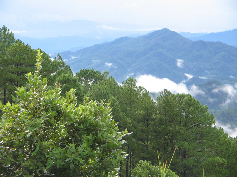 IMG_2540_Uitzicht_op_Honduras_vanaf_Cerro_de_Perquin.jpg