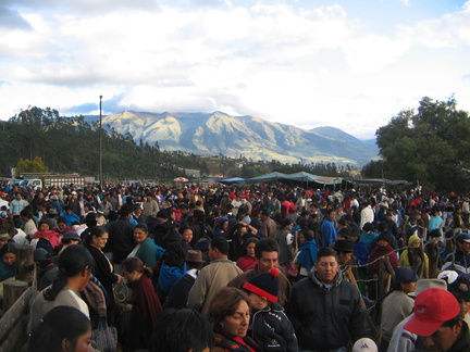 IMG 0532 De veemarkt van Otavalo