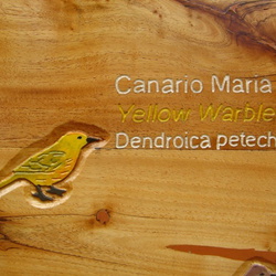 2006-05 Galapagos Information