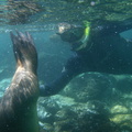 117 Eelco met zeeleeuw foto Jan en Cristina