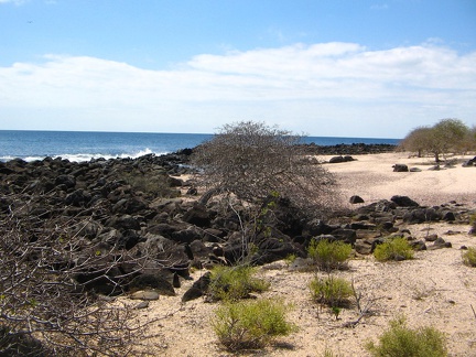 IMG 1832 Verlaten strand op San Cristobal