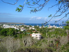 IMG 1189 Uitzicht over Puerto Ayora