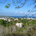 IMG 1189 Uitzicht over Puerto Ayora