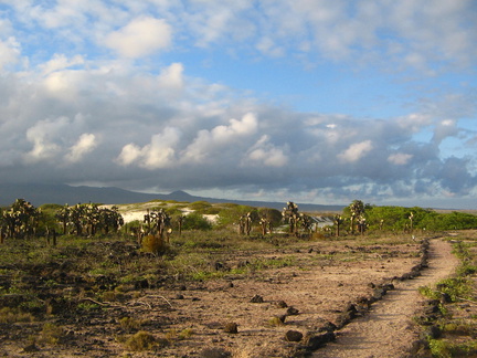 IMG 1213 Landschap bij Tortuga Bay