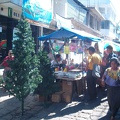 IM004755 Kerstbomen op de markt