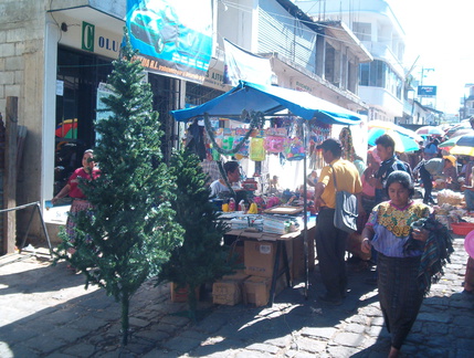 IM004755 Kerstbomen op de markt