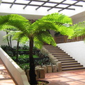 IMG_0929_Hotel_en_museum_in_1_Hotel_Santo_Domingo.jpg