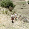 Benito paardrijden 5