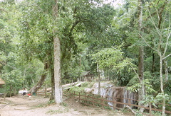 Palenque Agua Azul 2