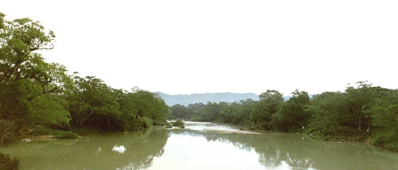 Palenque Agua Clara 2