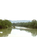 Palenque Agua Clara 2