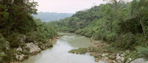 Palenque Agua Clara 3