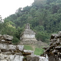 Palenque Templo