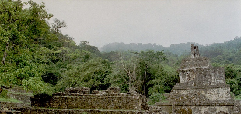 Palenque view