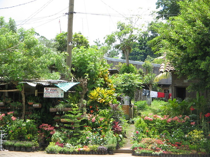 IMG 4247 Beter weer in Caterina een dorpje met veel plantenwinkels