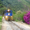 IMG 7613 De trein tussen Hydro Electrico en Aguas Calientes