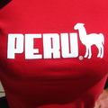 IMG_8162_Peru_is_Booming.jpg