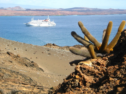 IMG 1346 Brachycereus Lava Cactus op Bartolom met groot cruise schip op de achtergrond