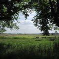 0780 - Uitzicht bankje bij Krommeniedijk