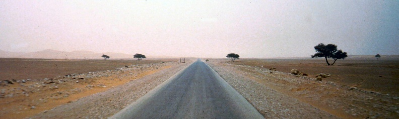 1990 Africa 0254