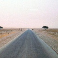 1990 Africa 0254
