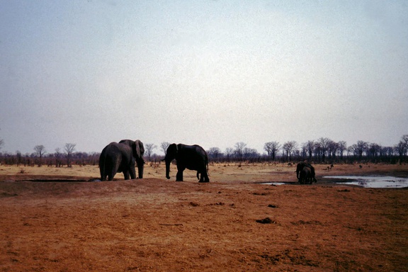1990 Africa 0923