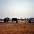 1990 Africa 0923