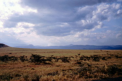 1990 Africa 0779