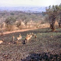 1990 Africa 0758