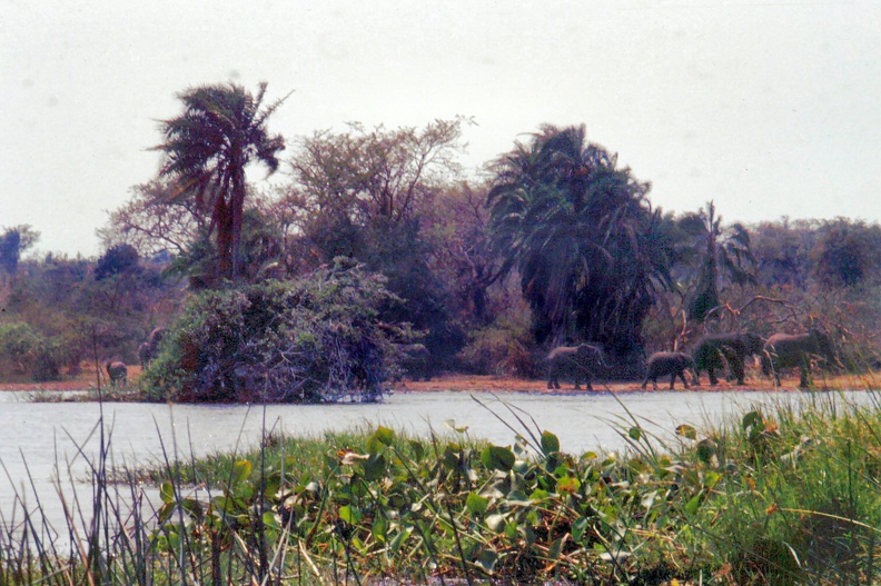 1990 Africa 0764.JPG