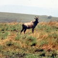 1990 Africa 0765