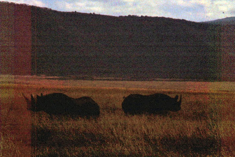 1990 Africa 0850.JPG