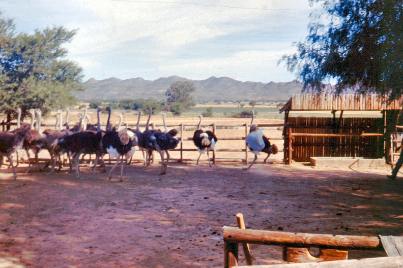 1990 Africa 1063.JPG